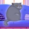 Thumbnail game - Cat Fun