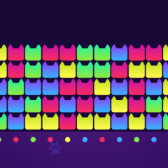 Cat Fun