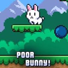Poor Bunny