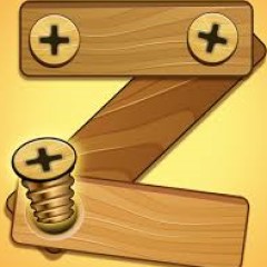 Woodnuts Bolts Puzzle