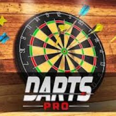 Darts Pro